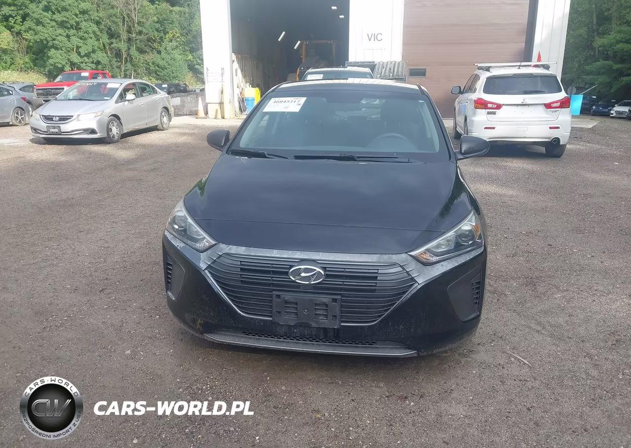 2019 Hyundai Ioniq Hybrid Blue VIN:KMHC65LC5KU156556 - 12