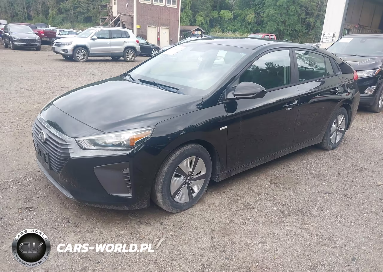 2019 Hyundai Ioniq Hybrid Blue VIN:KMHC65LC5KU156556 - 2