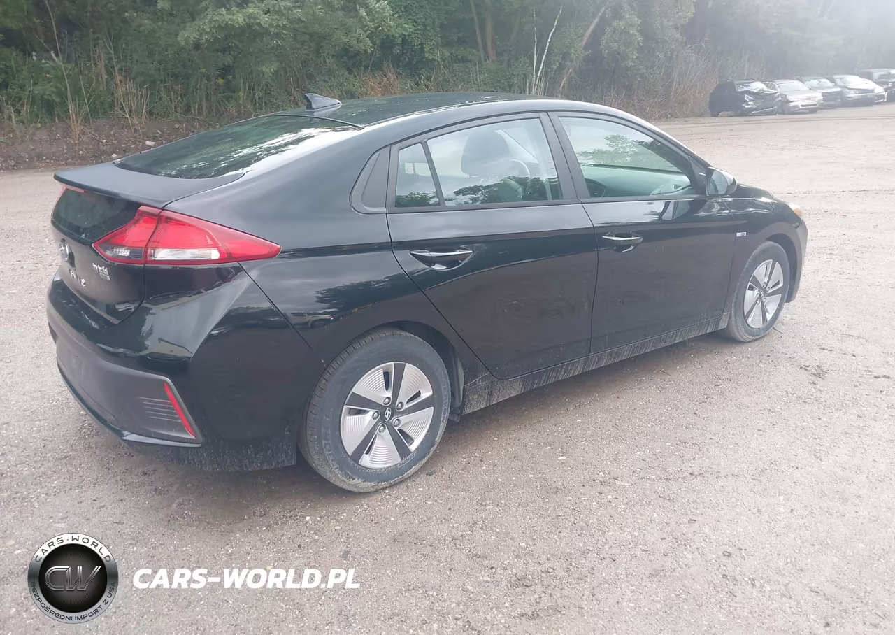 2019 Hyundai Ioniq Hybrid Blue VIN:KMHC65LC5KU156556 - 4