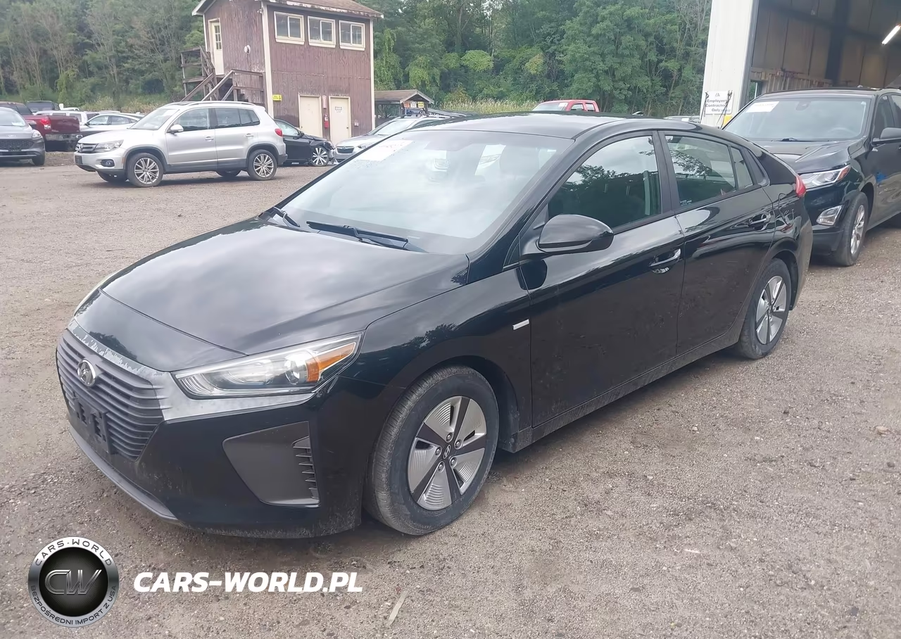 2019 Hyundai Ioniq Hybrid Blue VIN:KMHC65LC5KU156556 - 6