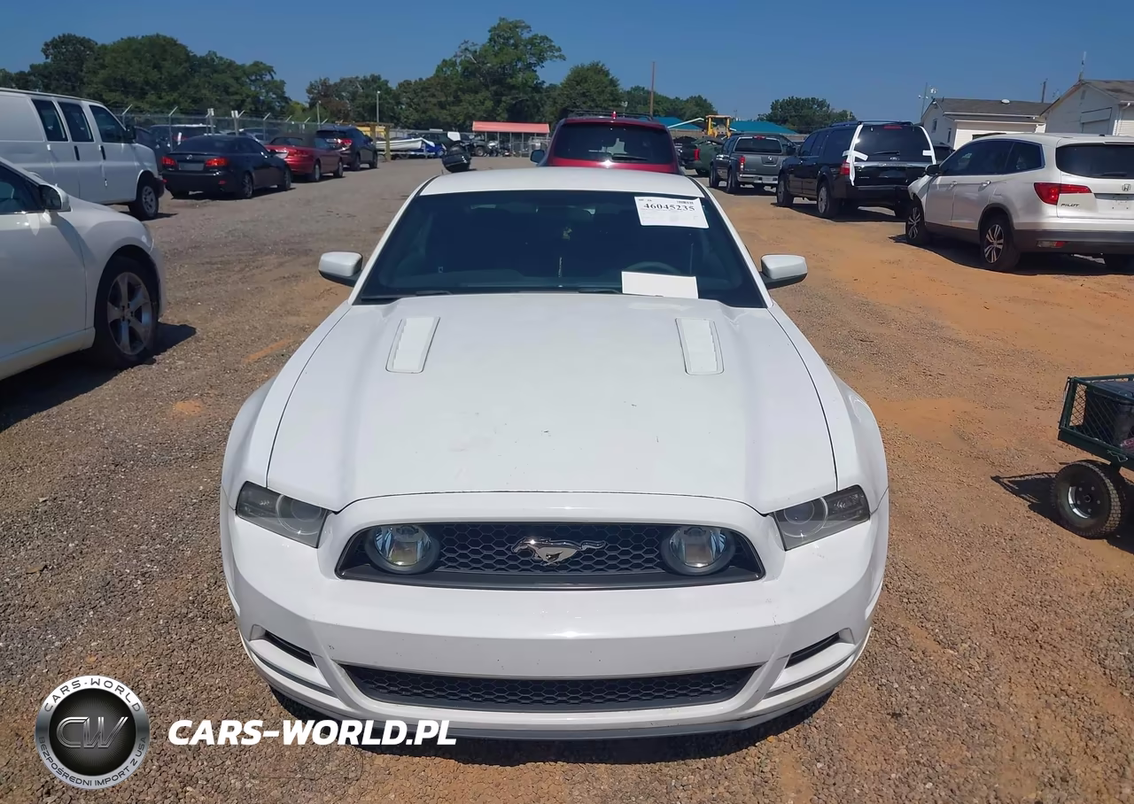2014 Ford Mustang Gt VIN:1ZVBP8CF3E5209291 - 12