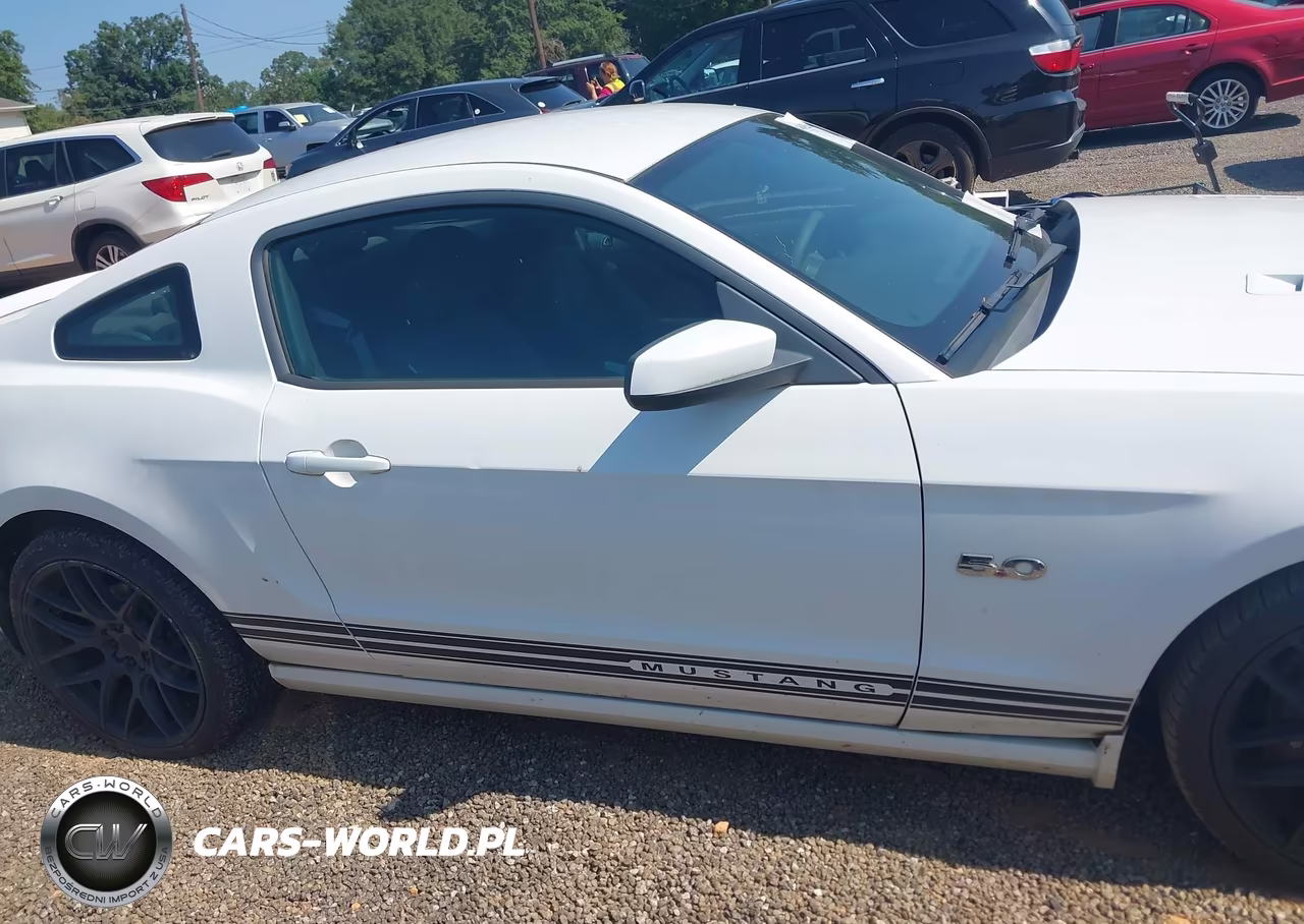2014 Ford Mustang Gt VIN:1ZVBP8CF3E5209291 - 13
