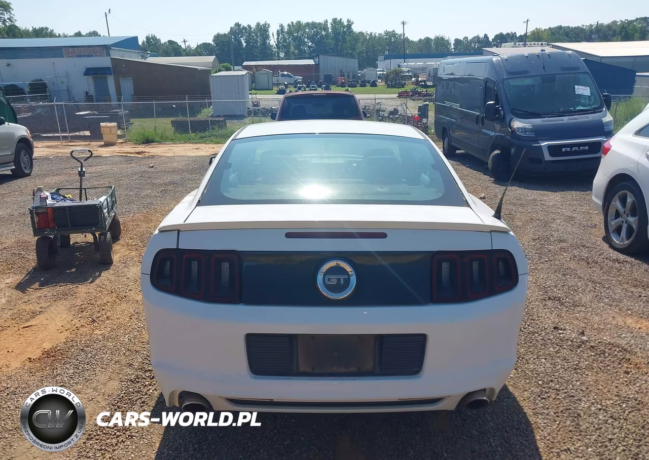 2014 Ford Mustang Gt VIN:1ZVBP8CF3E5209291 - 16
