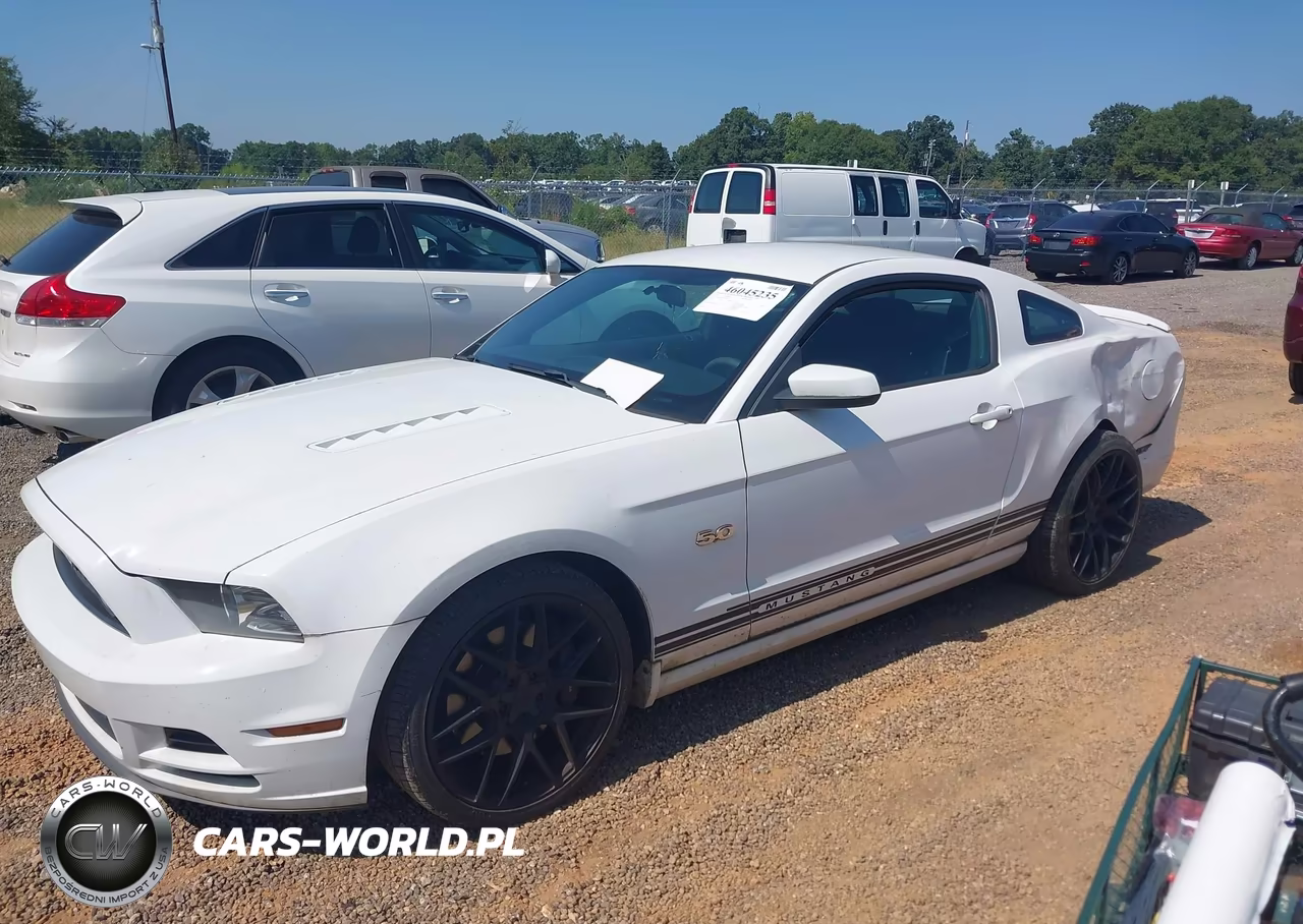 2014 Ford Mustang Gt VIN:1ZVBP8CF3E5209291 - 2