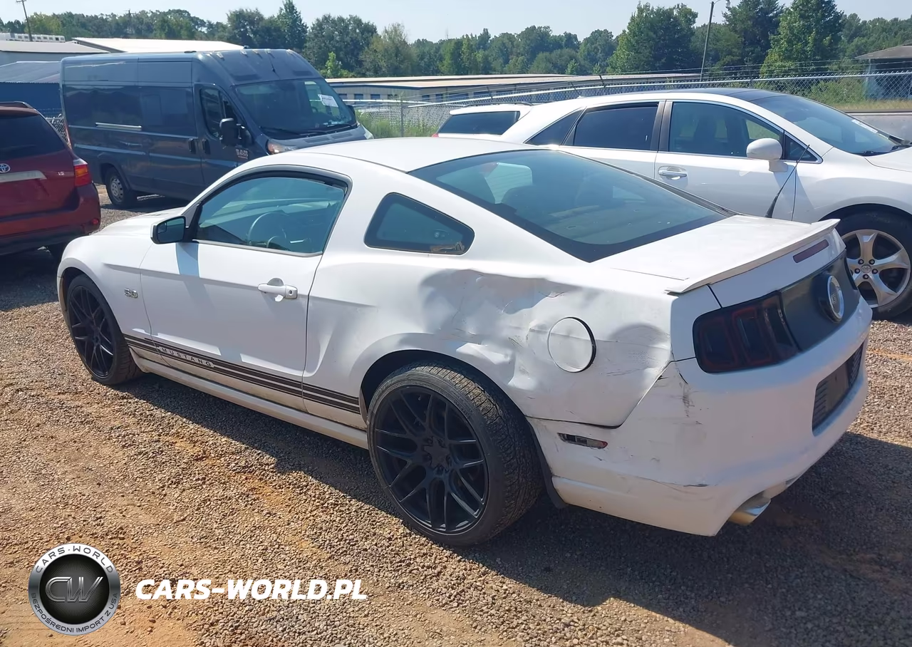2014 Ford Mustang Gt VIN:1ZVBP8CF3E5209291 - 3