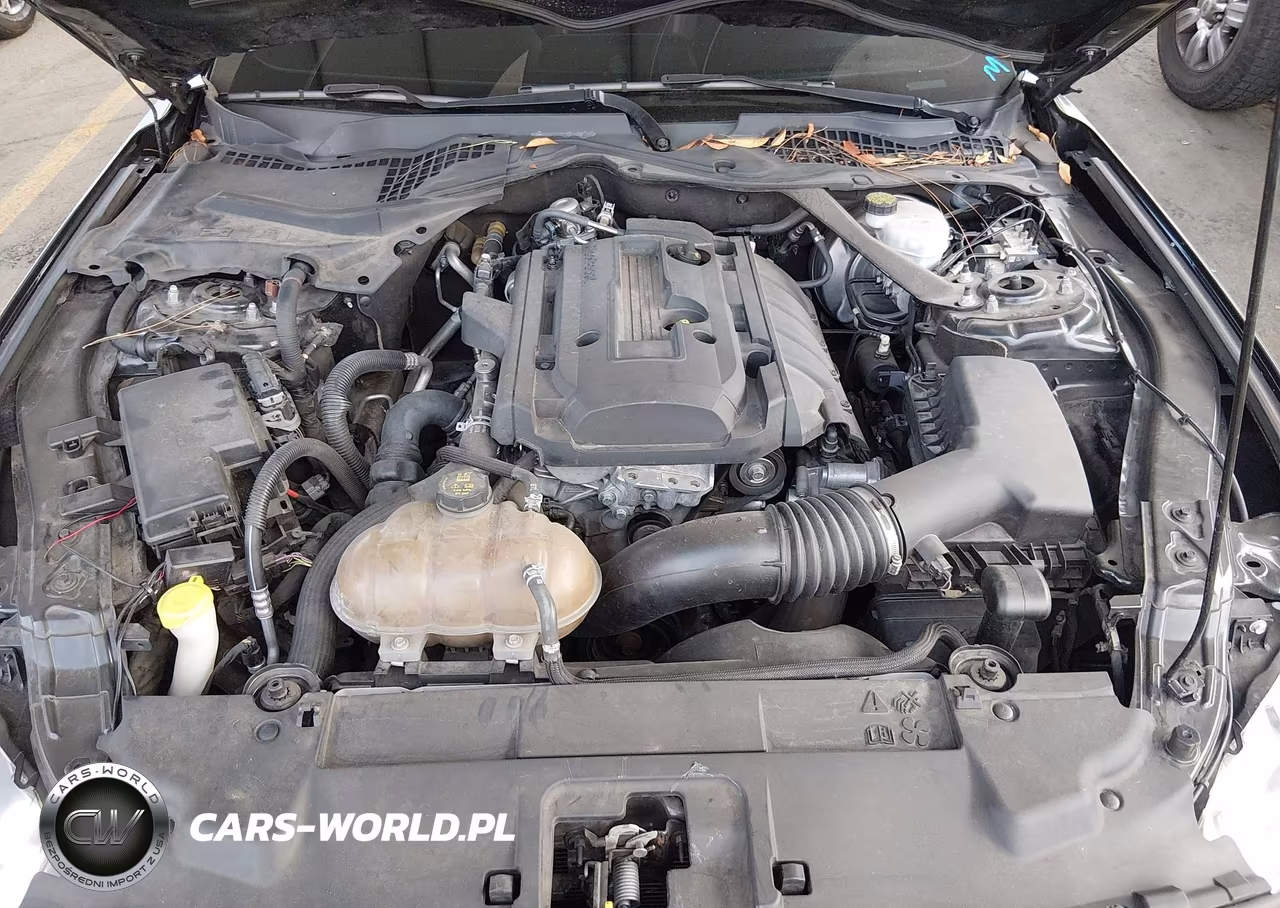 2018 Ford Mustang Ecoboost Premium VIN:1FATP8UH7J5124672 - 10