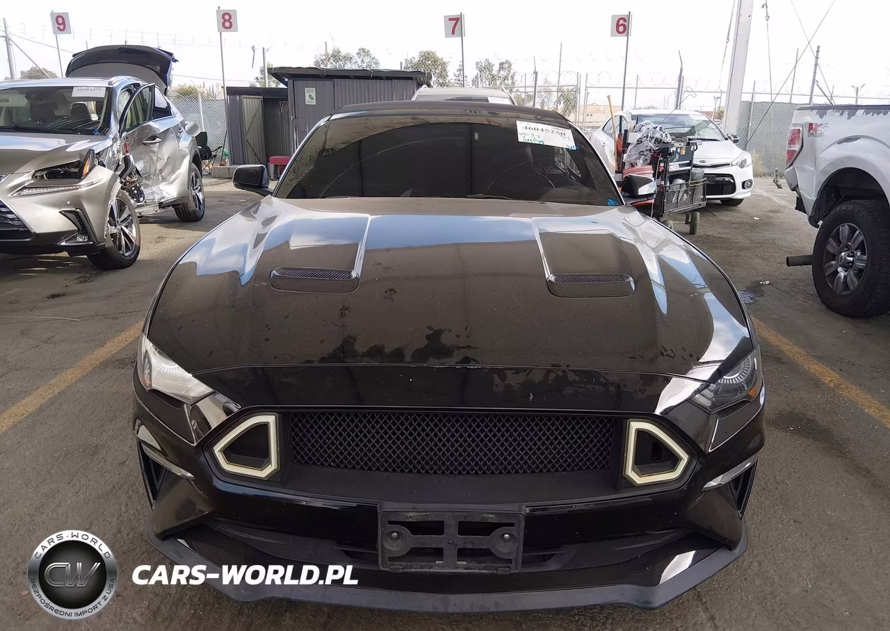 2018 Ford Mustang Ecoboost Premium VIN:1FATP8UH7J5124672 - 12