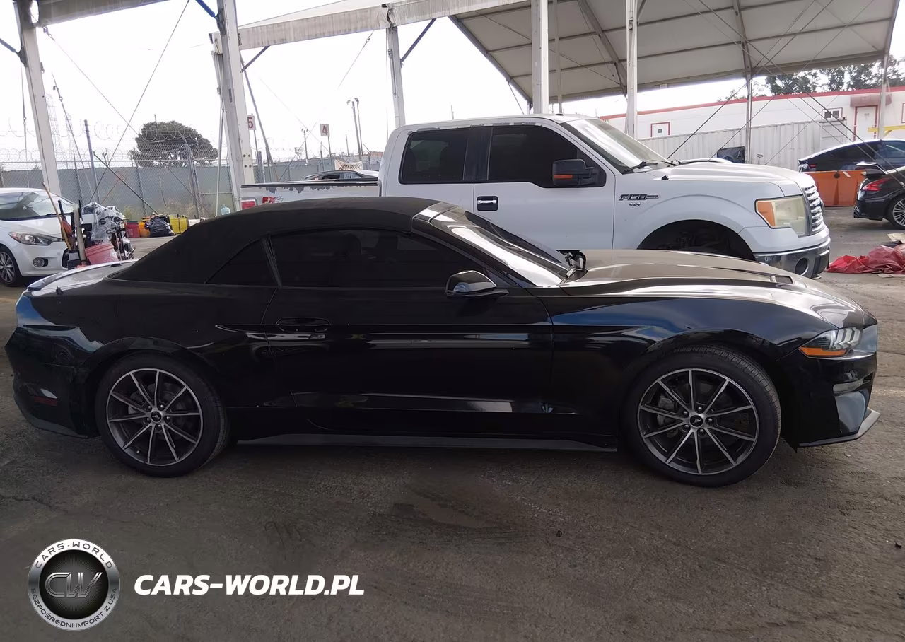 2018 Ford Mustang Ecoboost Premium VIN:1FATP8UH7J5124672 - 13
