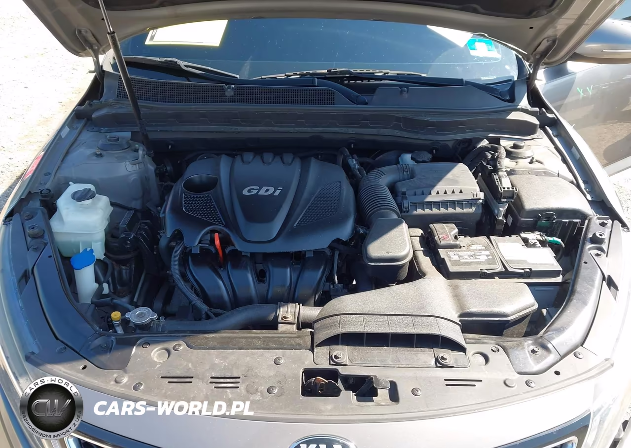 2014 Kia Optima Ex VIN:5XXGN4A75EG262069 - 10