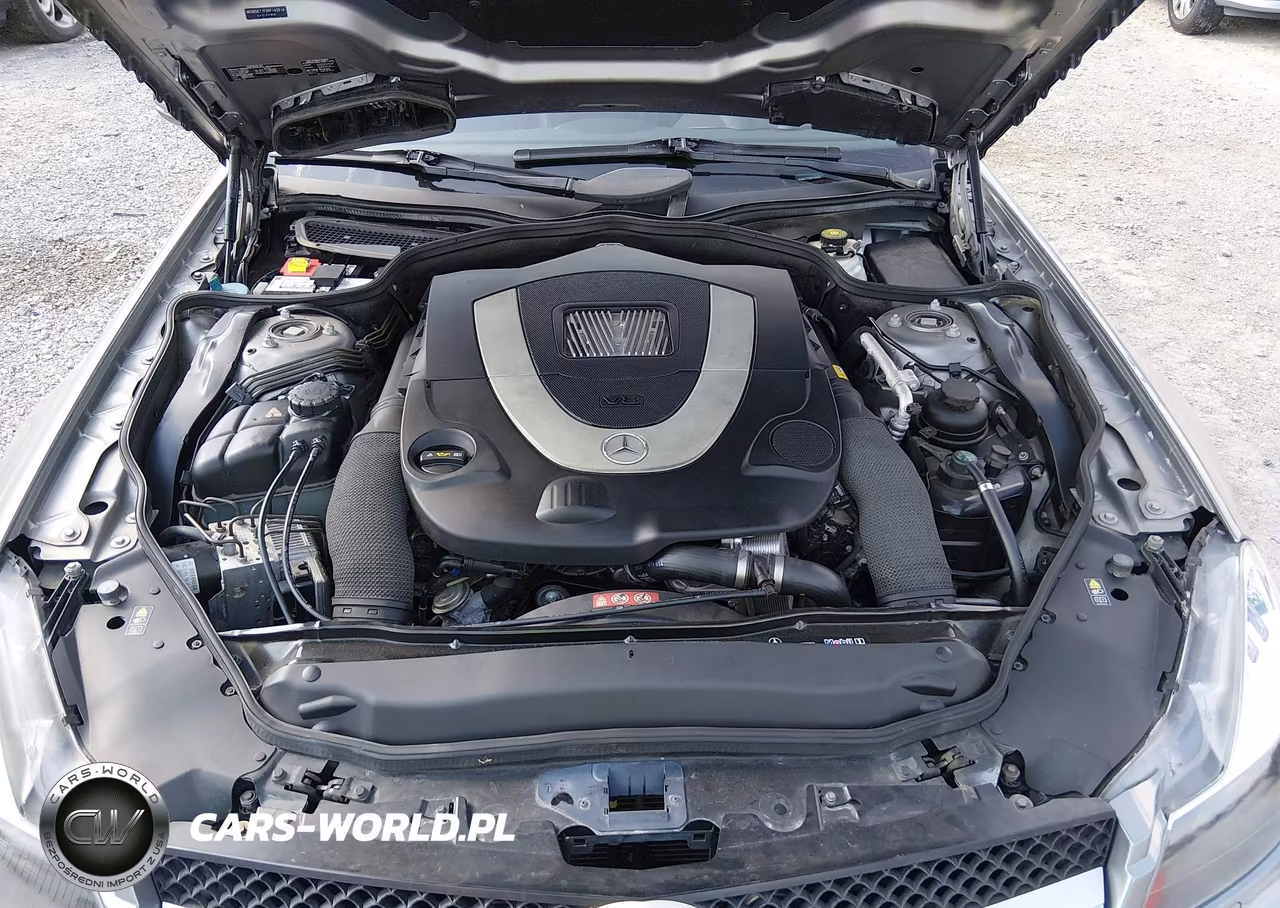 2009 Mercedes-Benz Sl 550 VIN:WDBSK71F39F143516 - 10