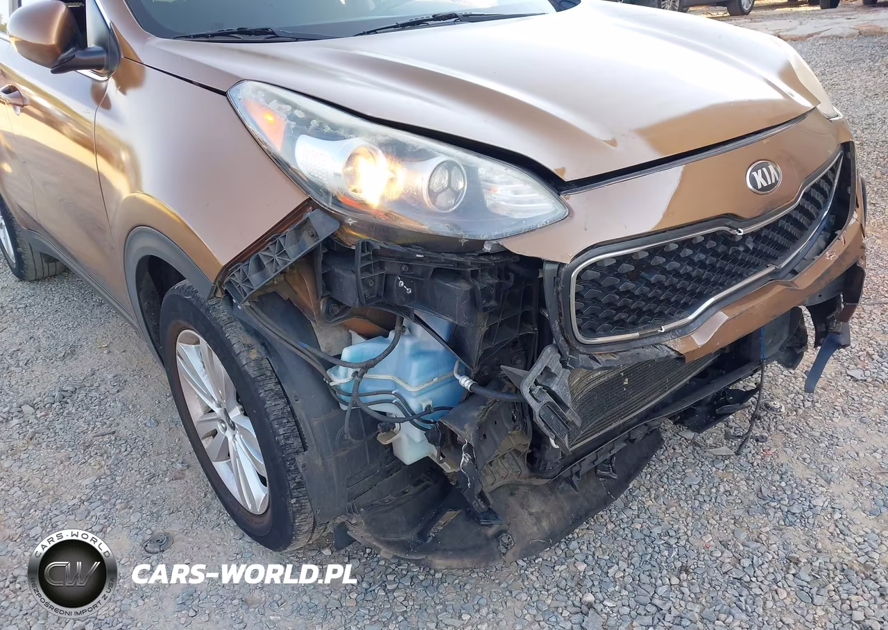 2018 Kia Sportage Lx VIN:KNDPM3AC4J7307449 - 6