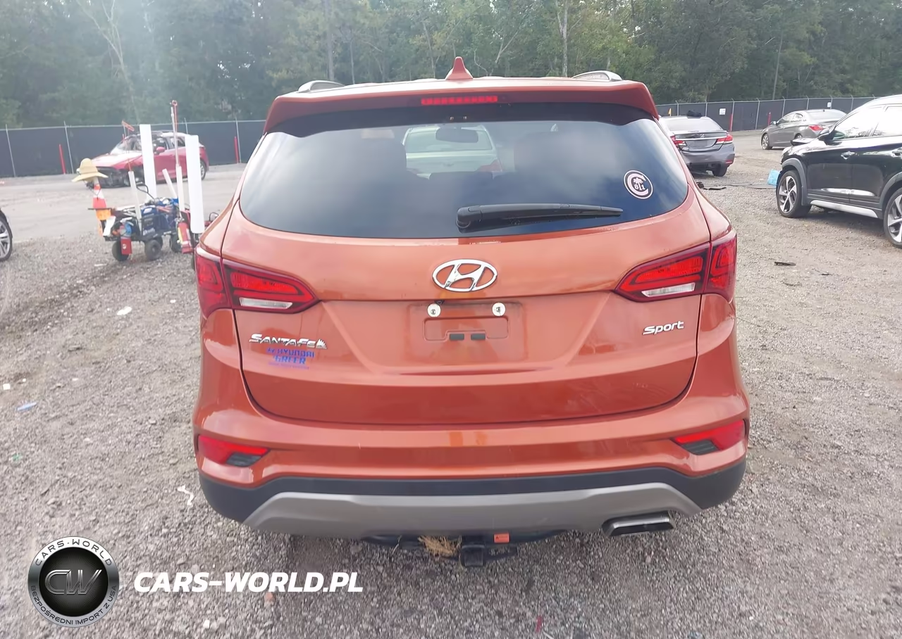 2018 Hyundai Santa Fe Sport 2.4L VIN:5XYZU3LB9JG520915 - 17