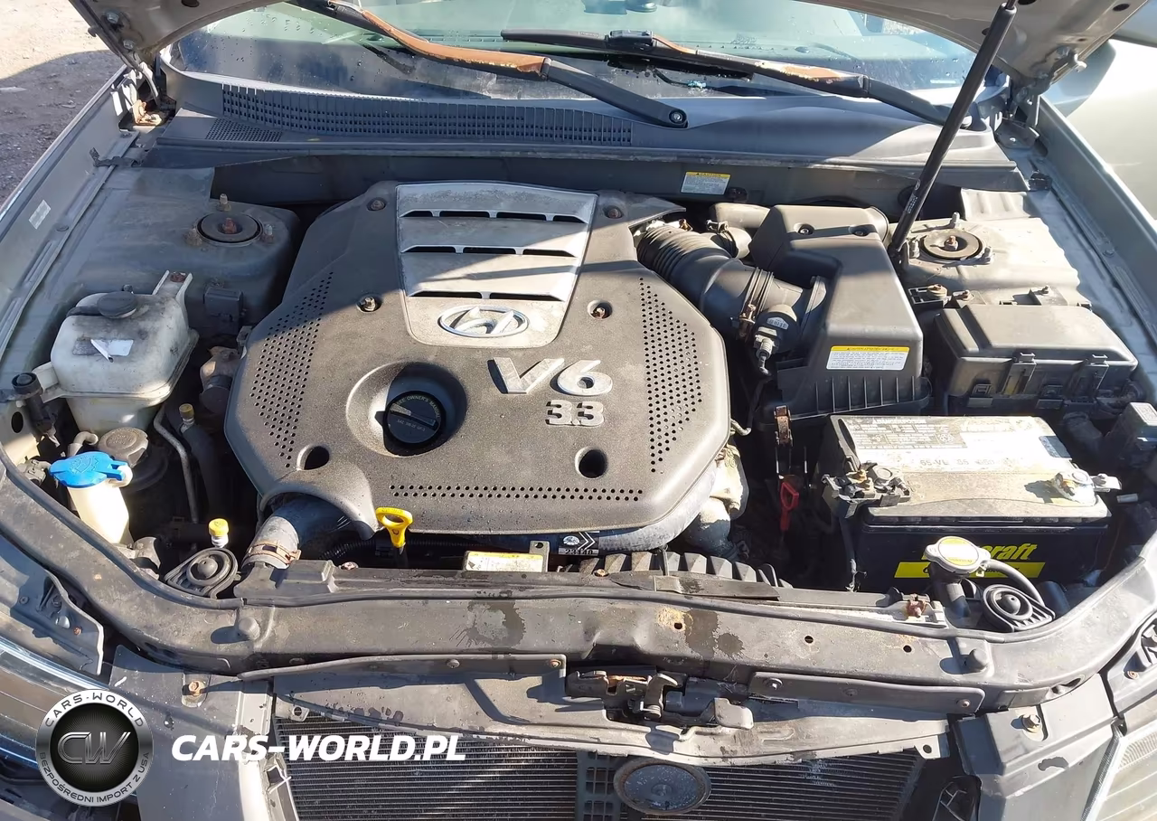 2007 Hyundai Sonata Limited-Limited W-Xm-Se V6 VIN:5NPEU46FX7H190187 - 10