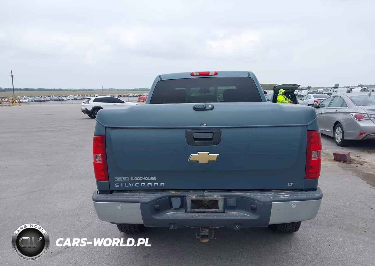 2010 Chevrolet Silverado 1500 Lt VIN:3GCRKSE35AG110040 - 16