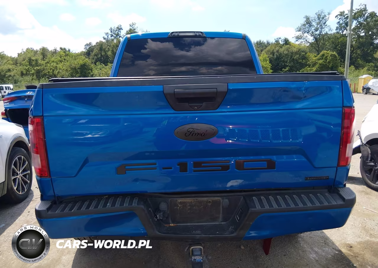 2020 Ford F-150 Xl VIN:1FTEW1CP5LKE32949 - 16