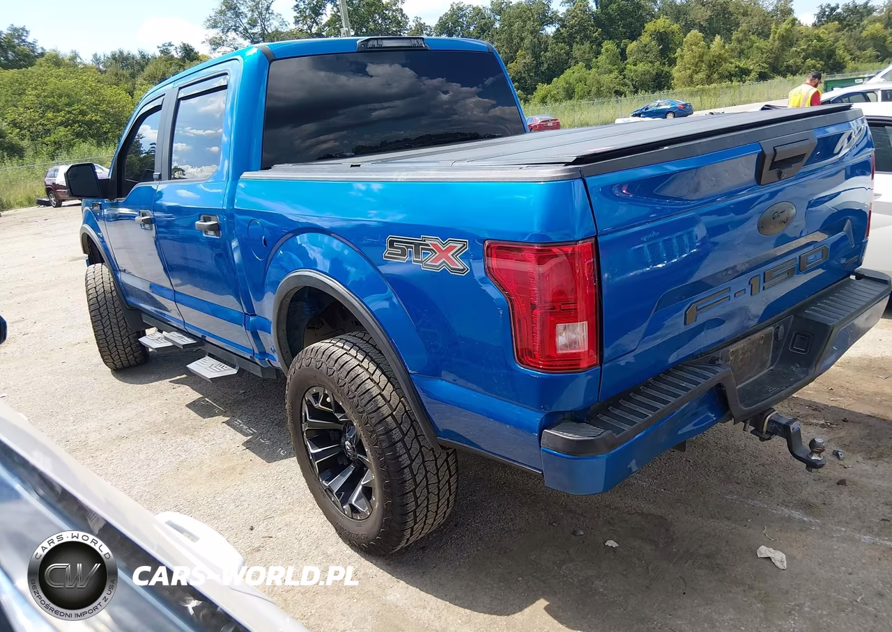 2020 Ford F-150 Xl VIN:1FTEW1CP5LKE32949 - 3