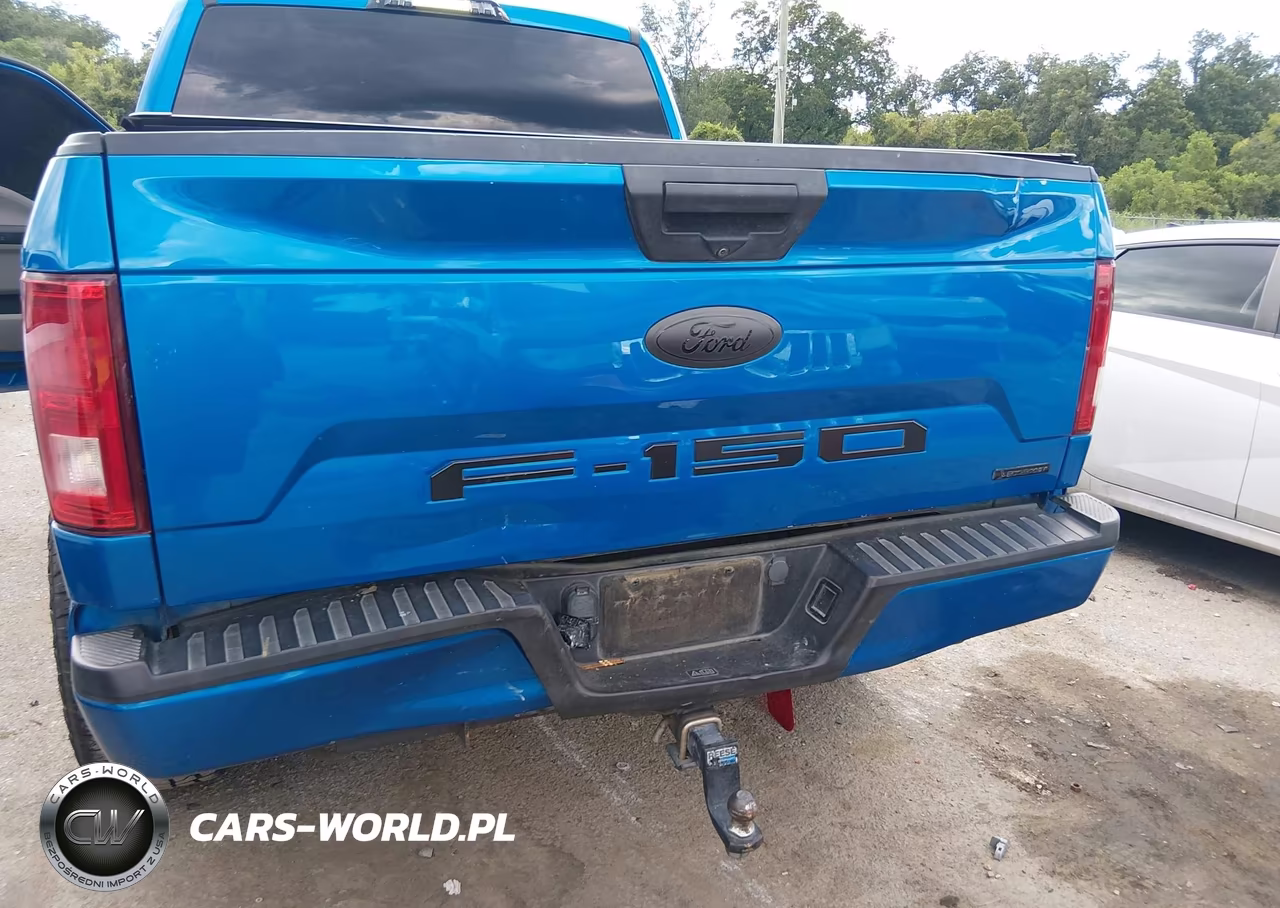 2020 Ford F-150 Xl VIN:1FTEW1CP5LKE32949 - 6