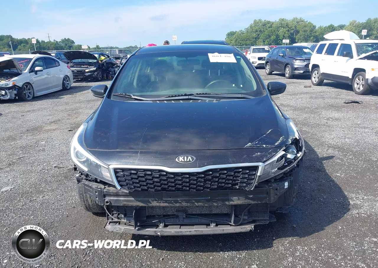 2018 Kia Forte Lx VIN:3KPFK4A70JE271611 - 13