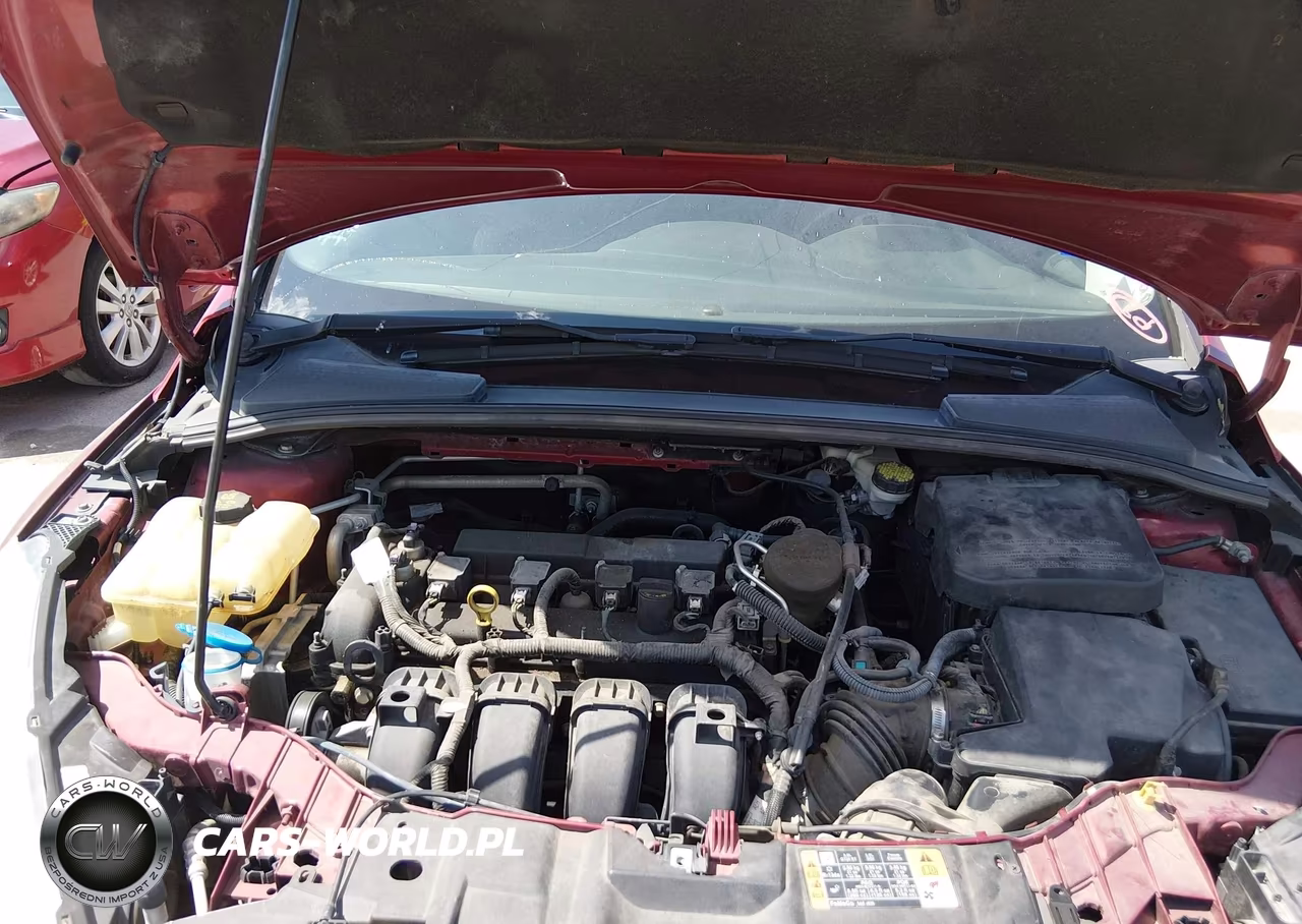 2016 Ford Focus Se VIN:1FADP3F22GL289159 - 10