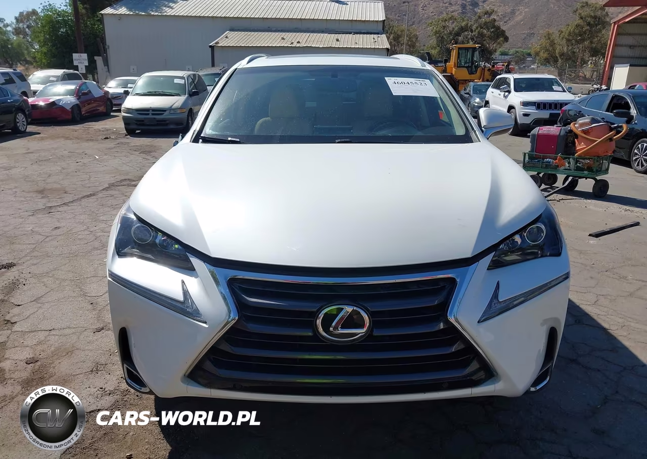 2017 Lexus Nx 200T VIN:JTJYARBZ3H2084215 - 12