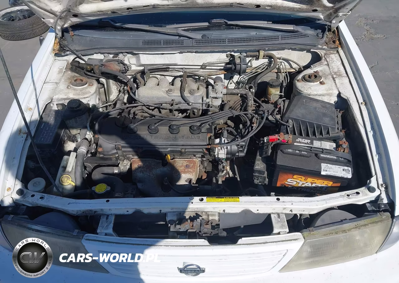 1996 Nissan Sentra E-Xe-Gxe-Gle VIN:1N4AB41D9TC754062 - 10