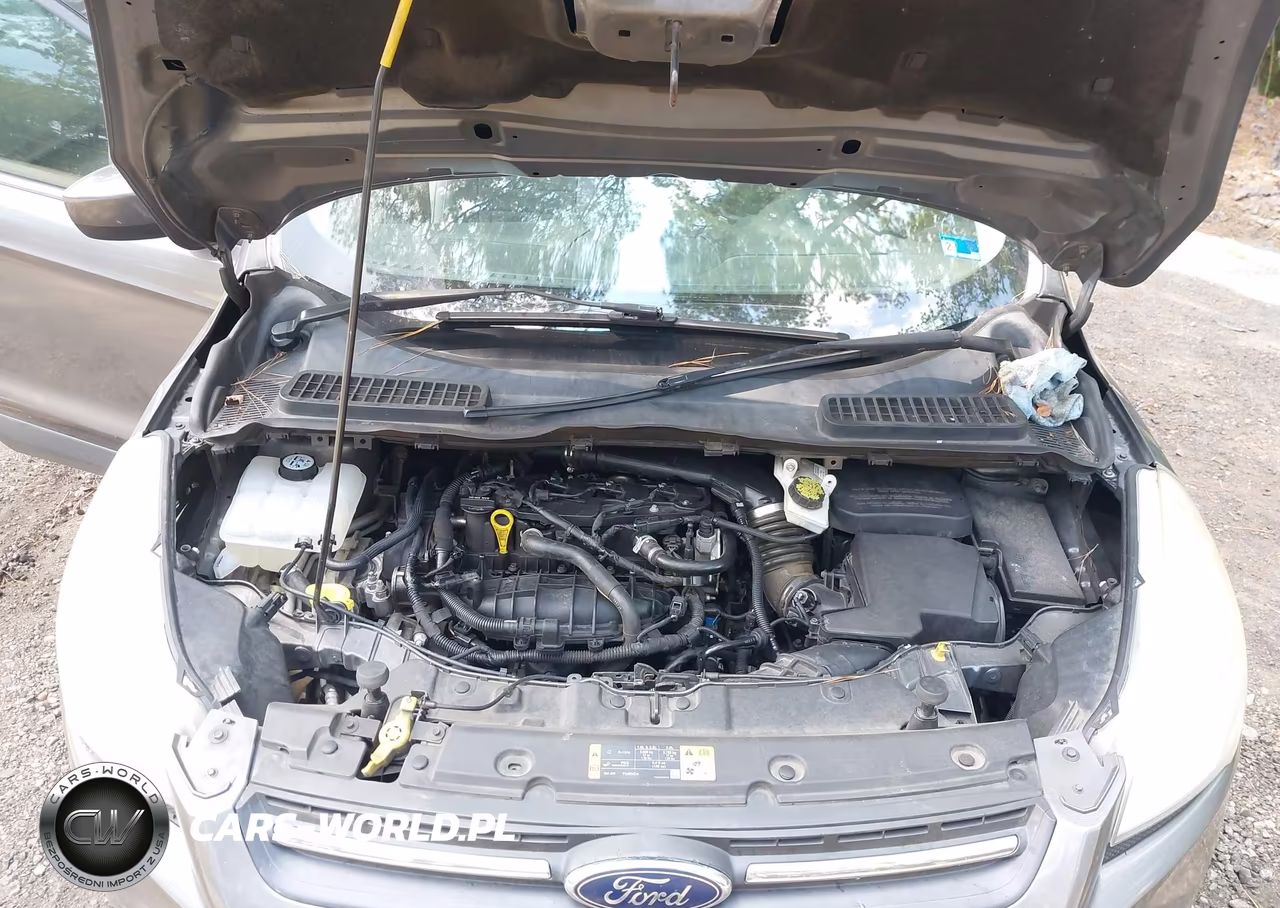 2014 Ford Escape Se VIN:1FMCU0GX7EUD97951 - 10