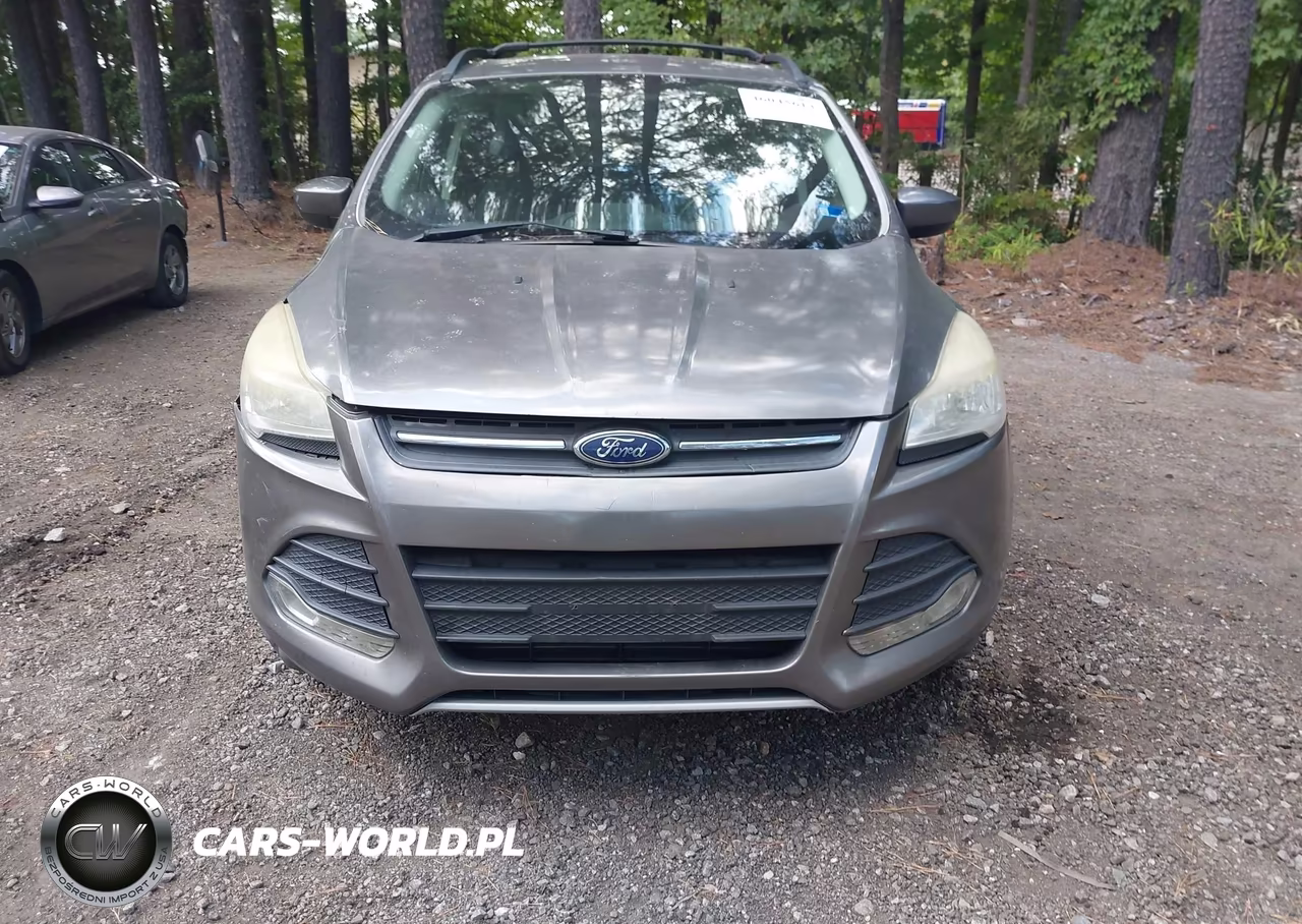 2014 Ford Escape Se VIN:1FMCU0GX7EUD97951 - 12