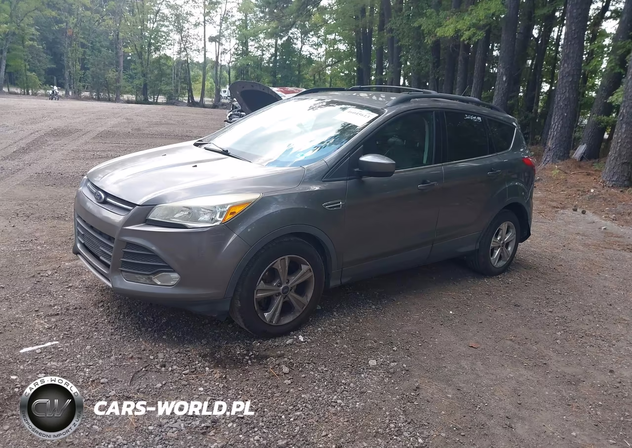 2014 Ford Escape Se VIN:1FMCU0GX7EUD97951 - 2