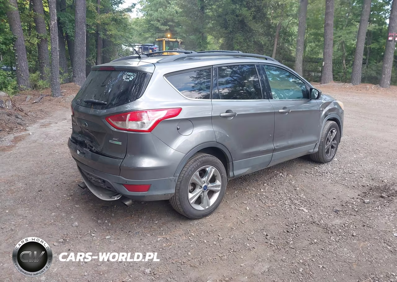 2014 Ford Escape Se VIN:1FMCU0GX7EUD97951 - 4