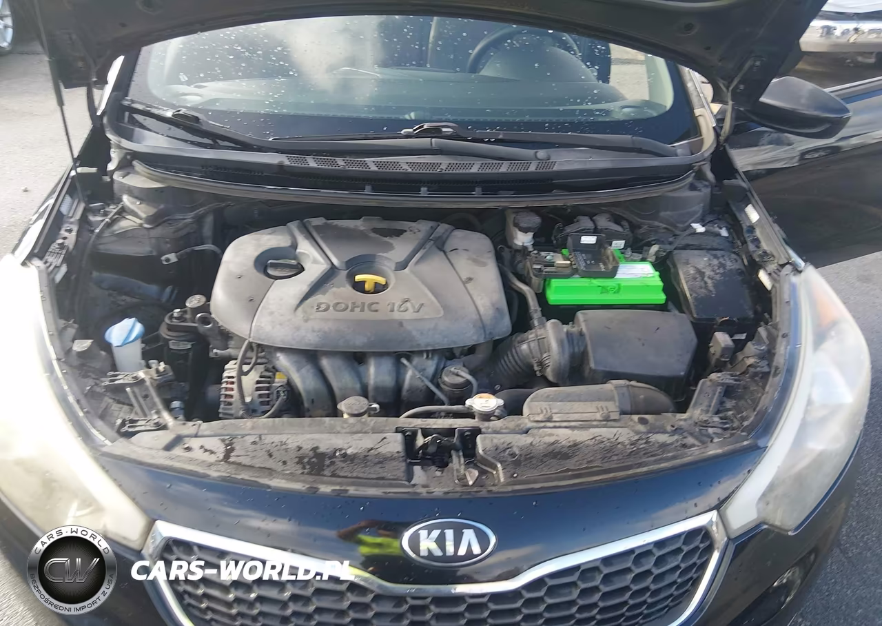 2015 Kia Forte Lx VIN:KNAFK4A67F5406168 - 10
