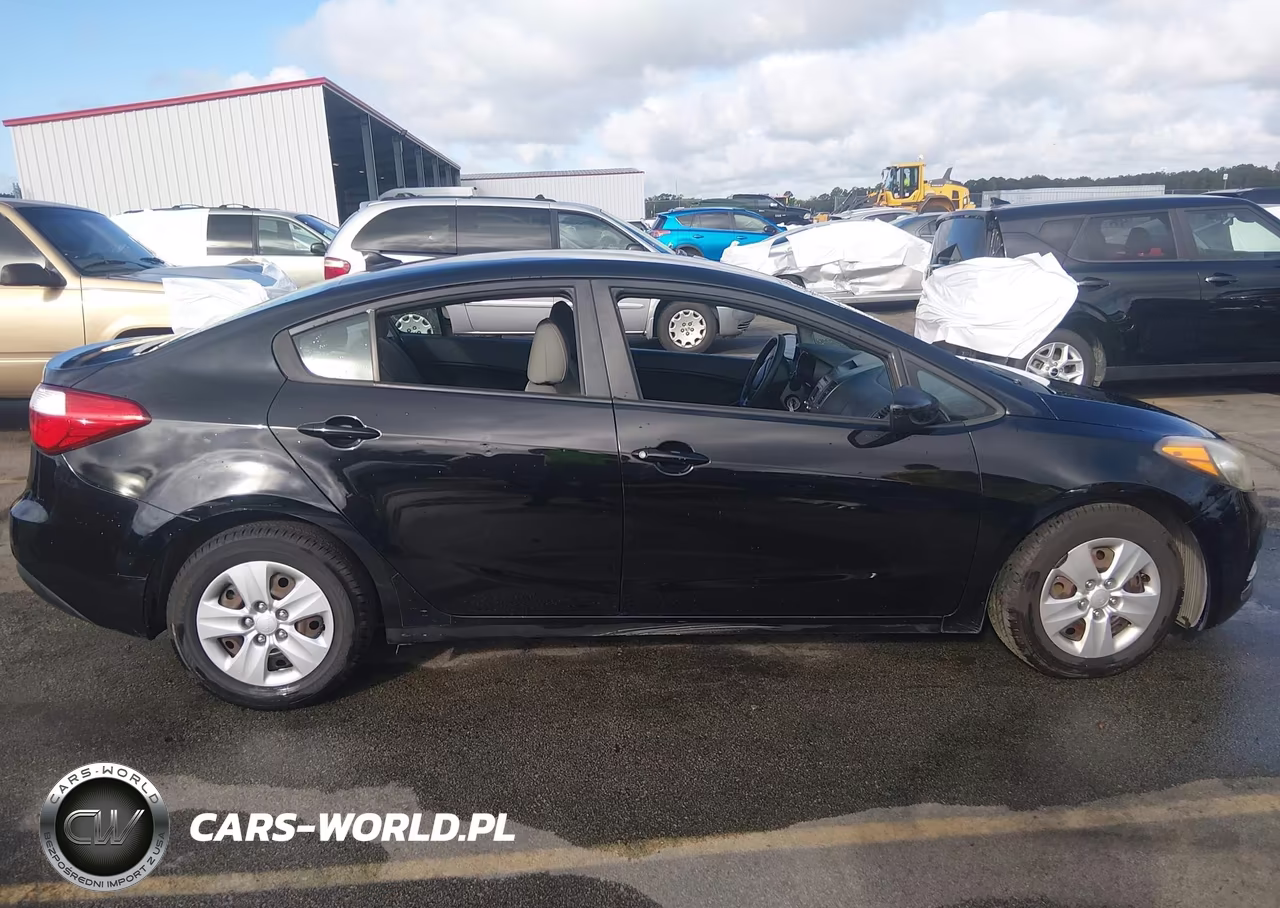 2015 Kia Forte Lx VIN:KNAFK4A67F5406168 - 13