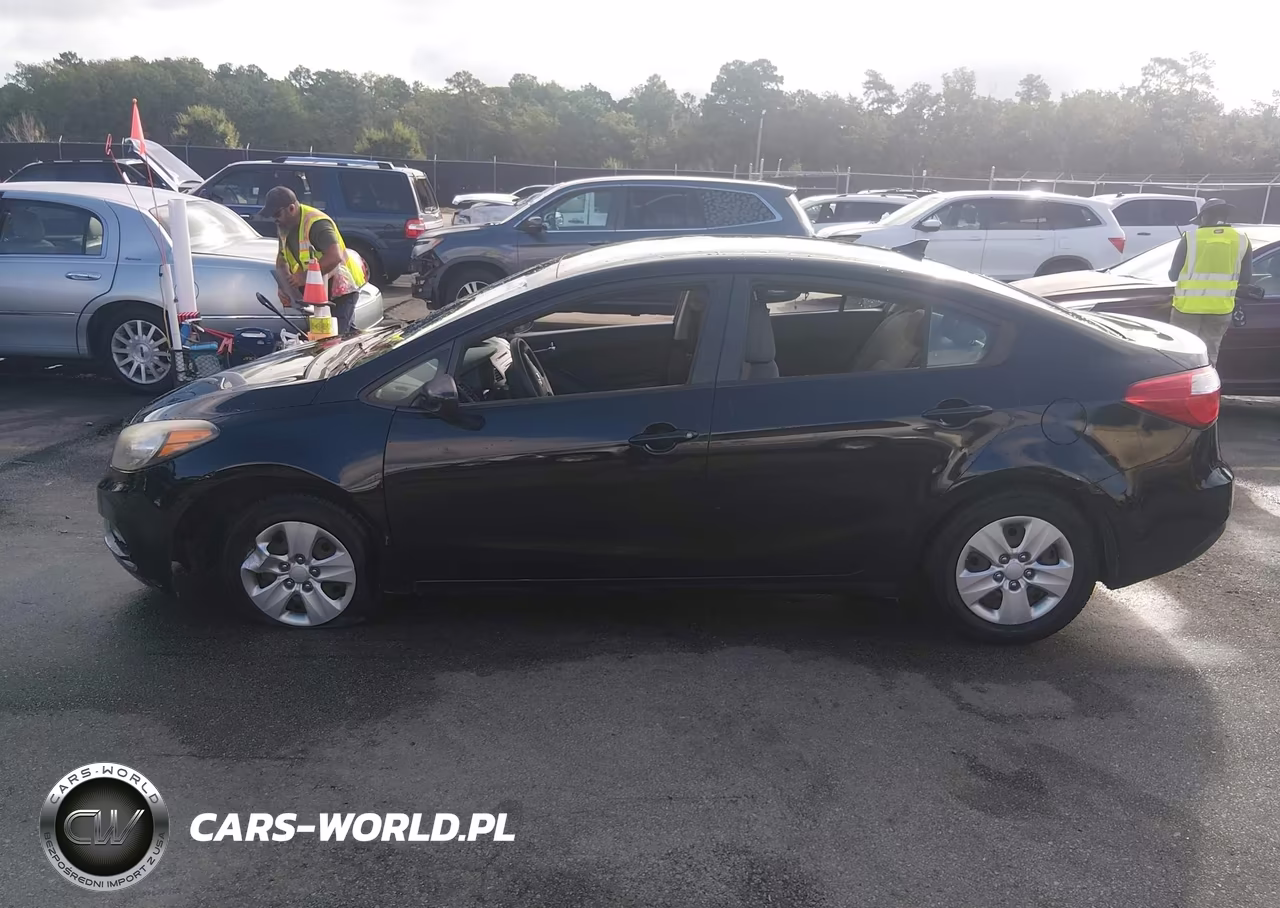 2015 Kia Forte Lx VIN:KNAFK4A67F5406168 - 14