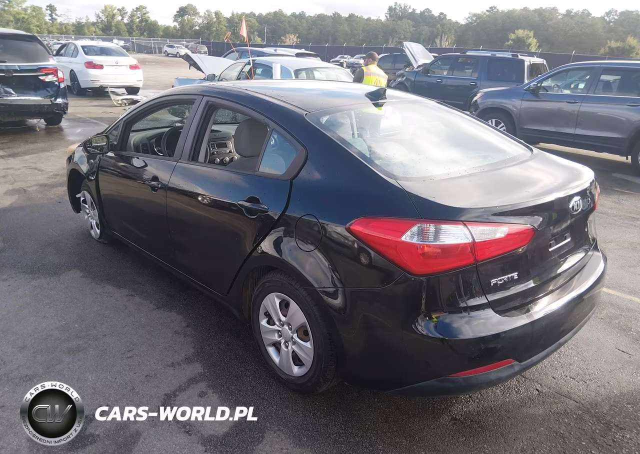 2015 Kia Forte Lx VIN:KNAFK4A67F5406168 - 3
