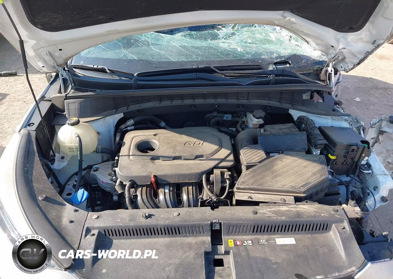 2019 Hyundai Tucson Sel VIN:KM8J33AL3KU016738 - 10