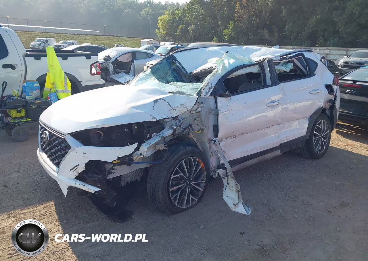 2019 Hyundai Tucson Sel VIN:KM8J33AL3KU016738 - 2