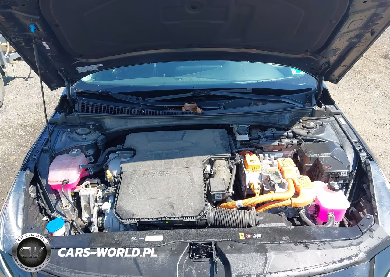 2023 Hyundai Elantra Hybrid Blue VIN:KMHLM4AJ5PU088591 - 10