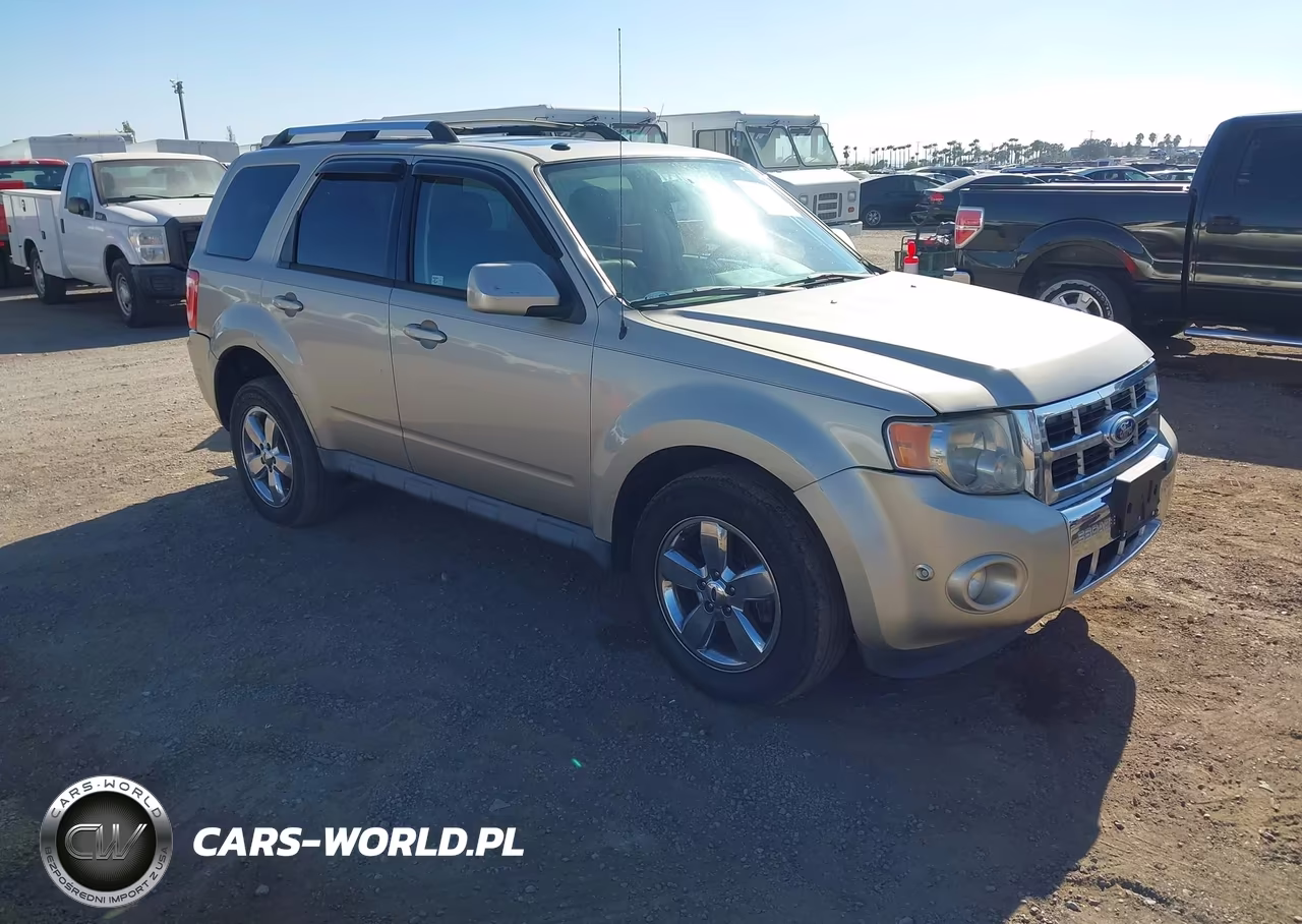 2010 Ford Escape Limited