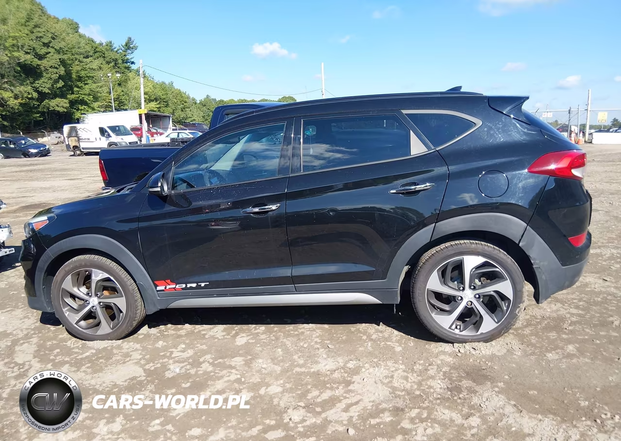 2017 Hyundai Tucson Limited VIN:KM8J3CA27HU302494 - 14