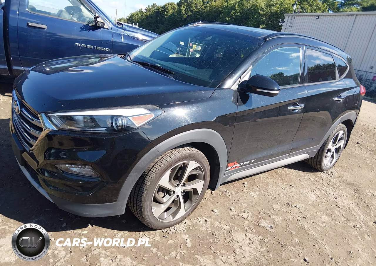 2017 Hyundai Tucson Limited VIN:KM8J3CA27HU302494 - 2
