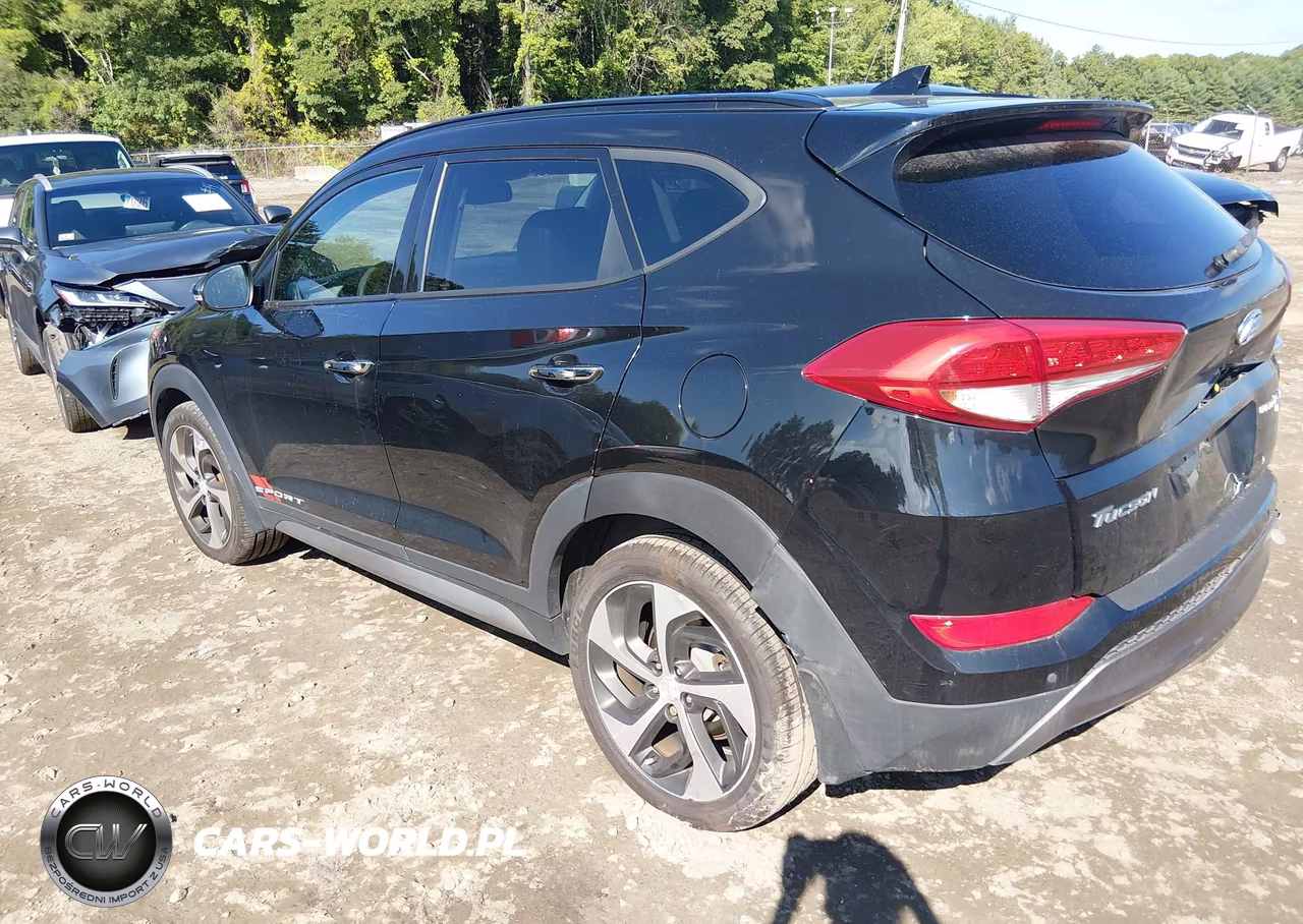 2017 Hyundai Tucson Limited VIN:KM8J3CA27HU302494 - 3