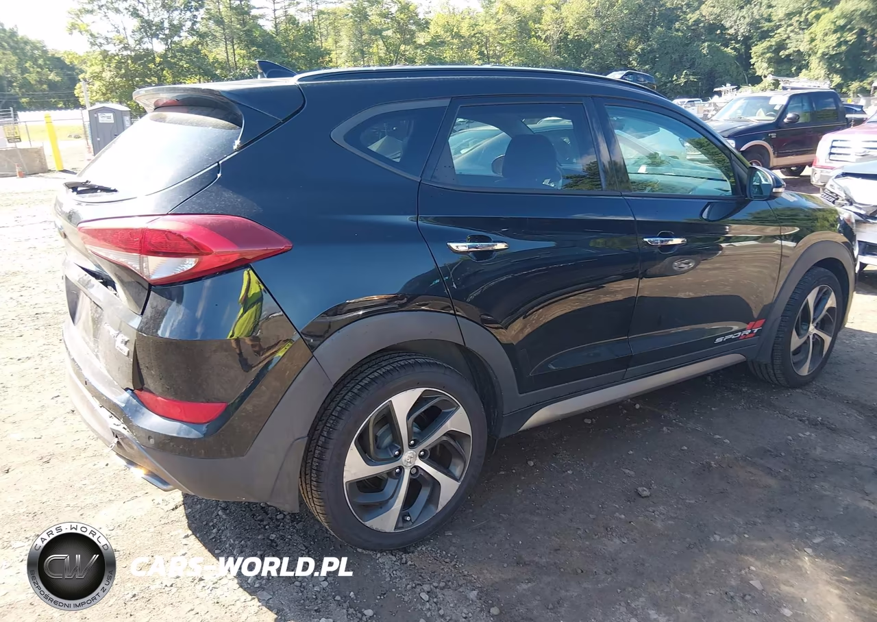 2017 Hyundai Tucson Limited VIN:KM8J3CA27HU302494 - 4