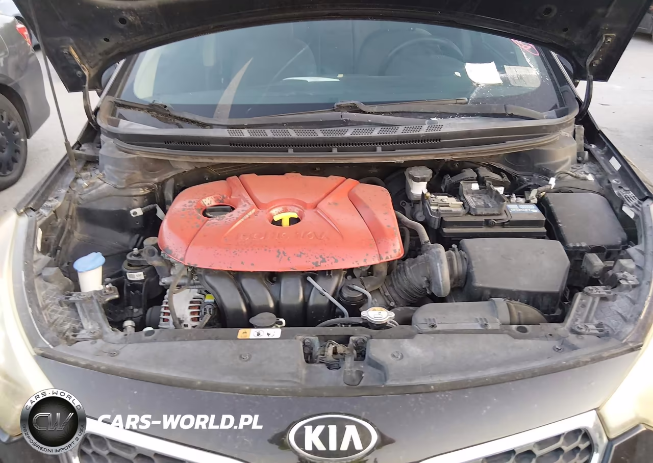 2016 Kia Forte Lx VIN:KNAFX4A64G5471031 - 10