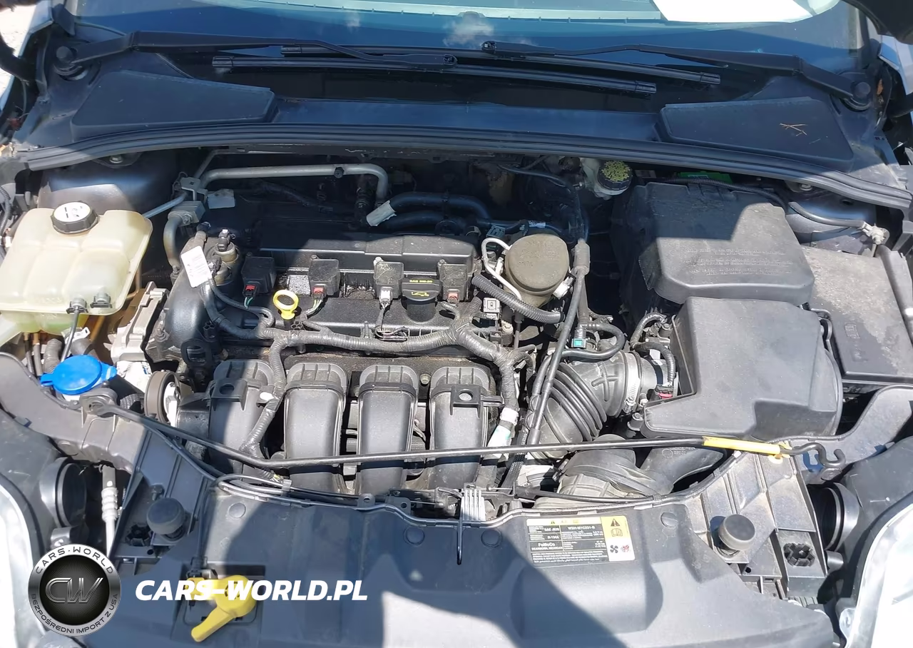 2013 Ford Focus Se VIN:1FADP3K25DL216885 - 10