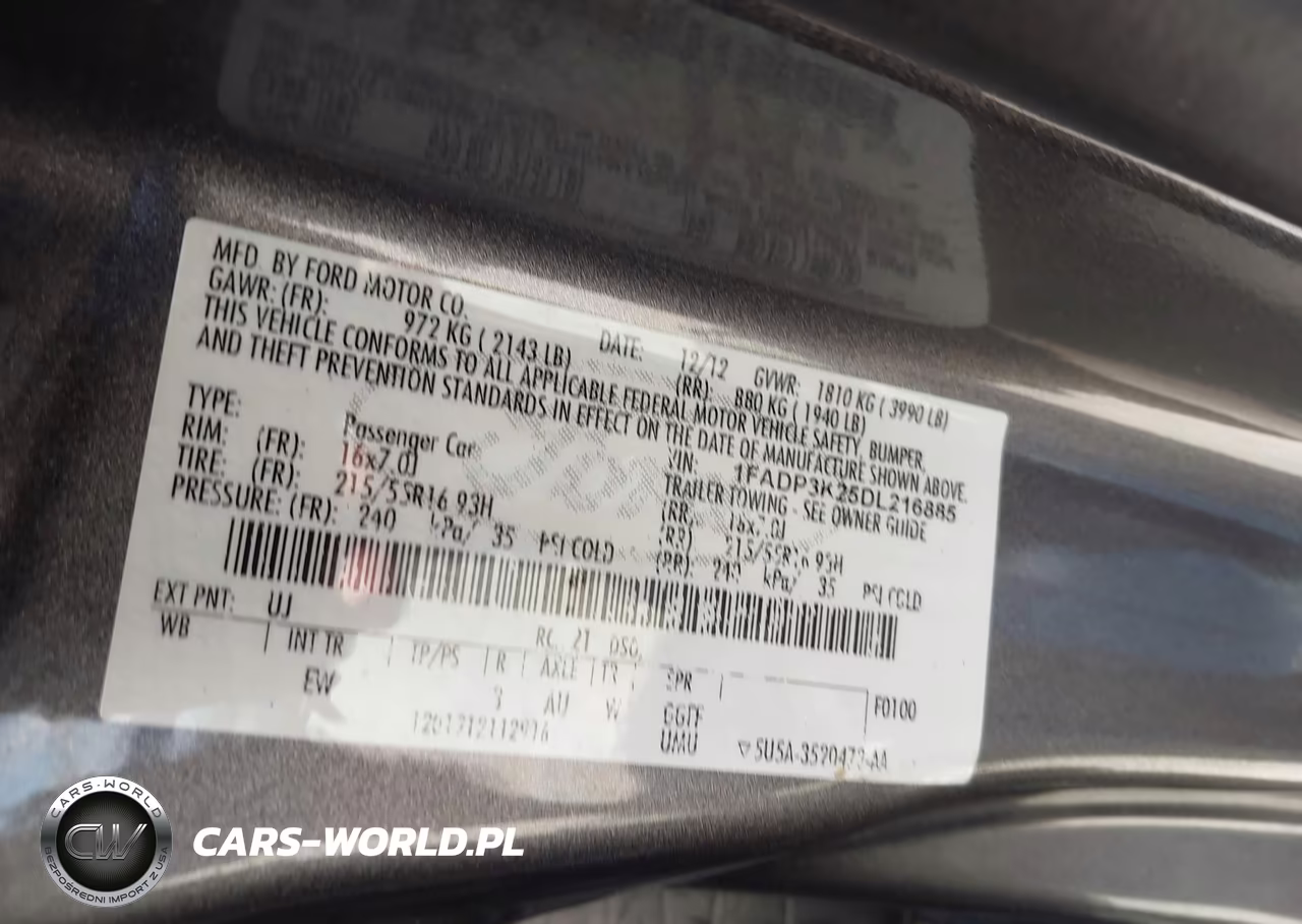 2013 Ford Focus Se VIN:1FADP3K25DL216885 - 9