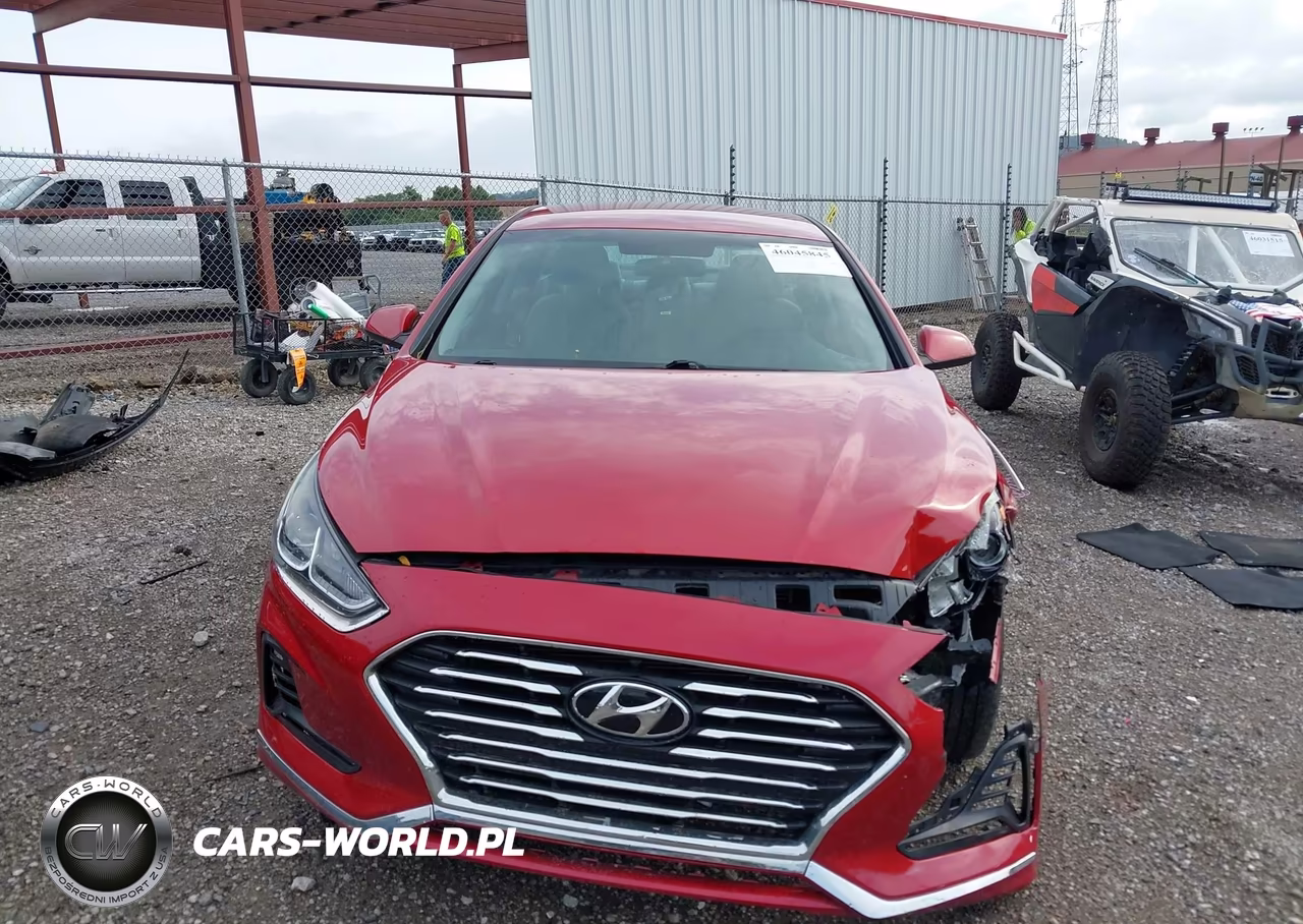 2019 Hyundai Sonata Se VIN:5NPE24AF9KH752179 - 12