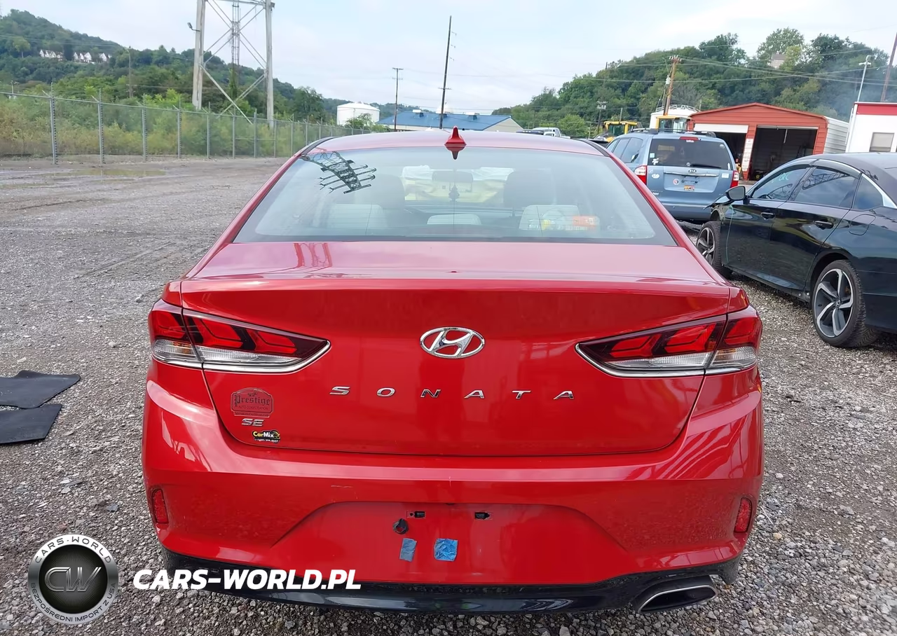2019 Hyundai Sonata Se VIN:5NPE24AF9KH752179 - 16