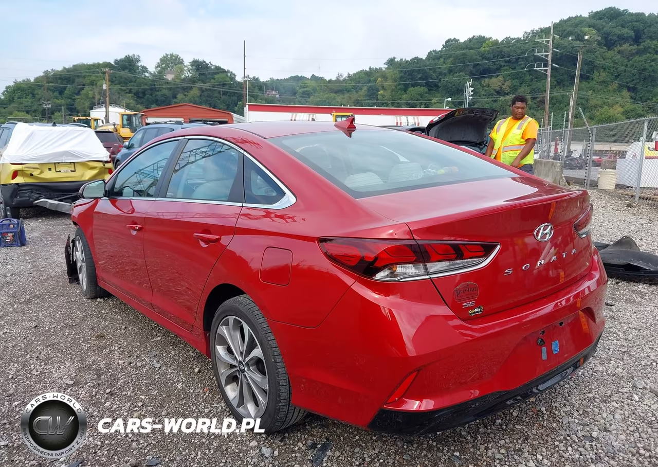 2019 Hyundai Sonata Se VIN:5NPE24AF9KH752179 - 3