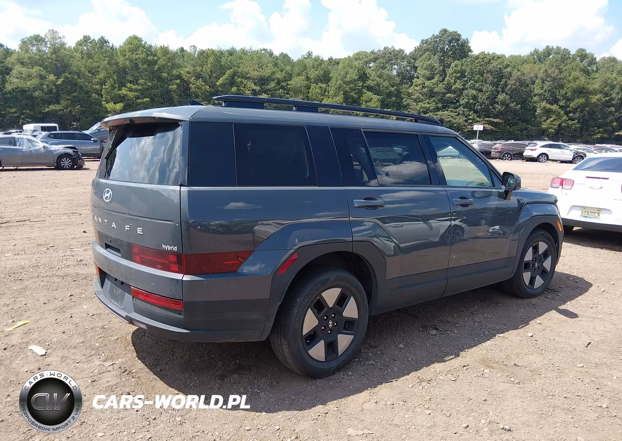 2025 Hyundai Santa Fe Hybrid Sel VIN:5NMP24G10SH020282 - 4