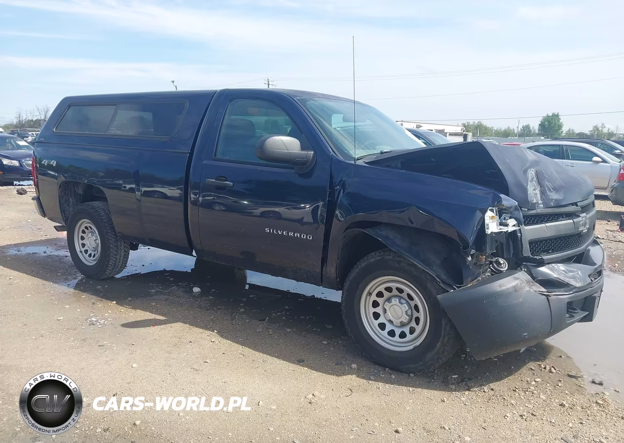 2010 Chevrolet Silverado 1500 Work Truck – zdjęcie 1 z 16
