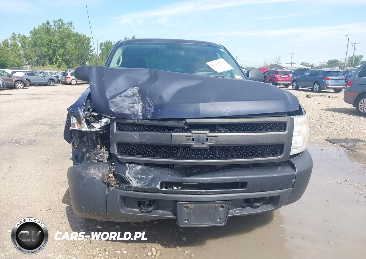 2010 Chevrolet Silverado 1500 Work Truck VIN:1GCPKPE00AZ238261 - 12